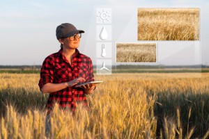 BI no agronegócio: saiba 5 benefícios da tecnologia no campo